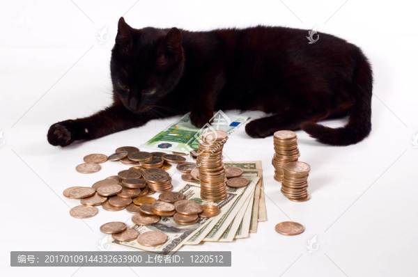 警衛(wèi)-匯圖網(wǎng) www.fosd68.com 警衛(wèi)