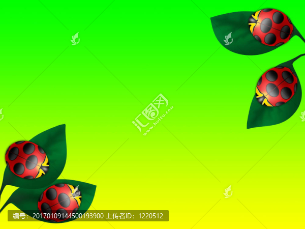 背景美麗的昆蟲在cherry_1