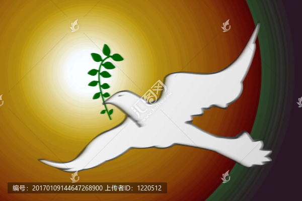 白鴿
