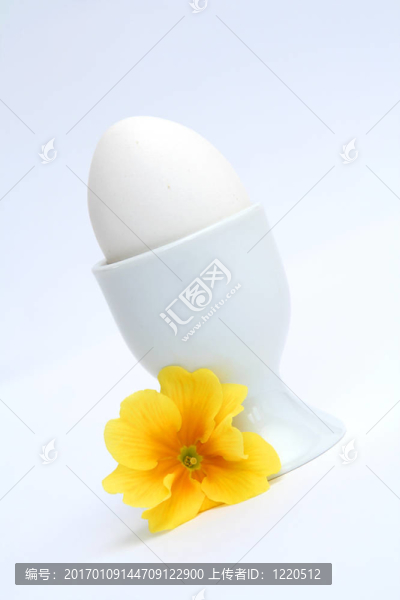 雞蛋