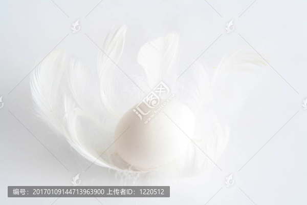 雞蛋