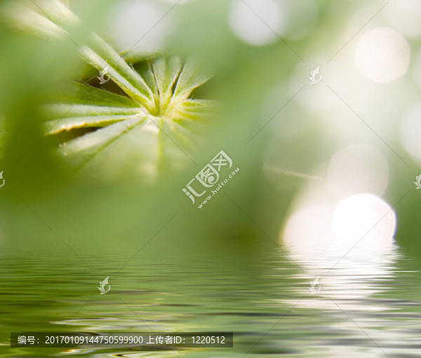 抽象自然的圖畫