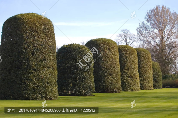 橘園對沖