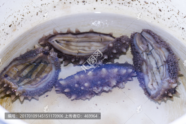水發(fā)海參