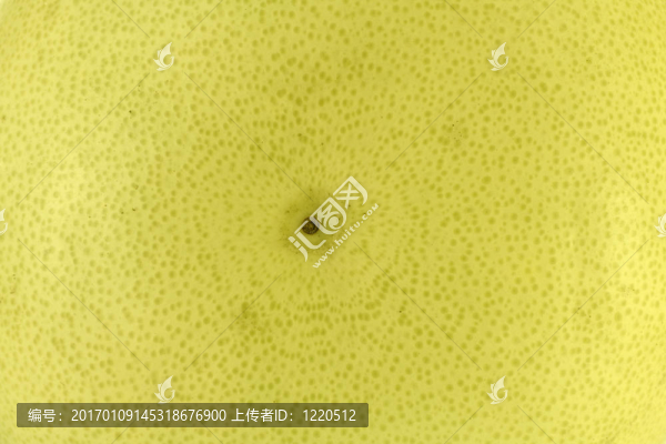 Pomelo（柚子）背景