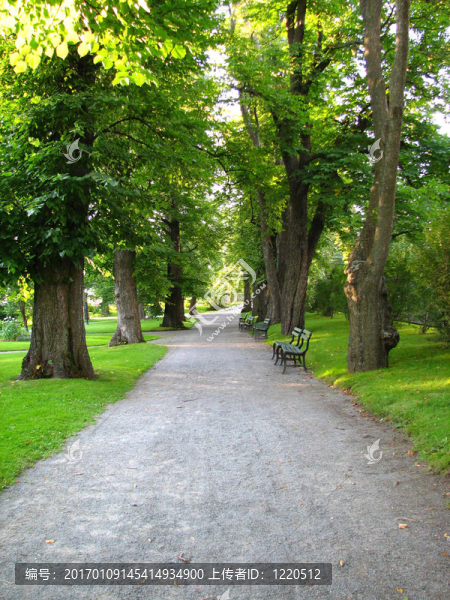 在公園里漫步