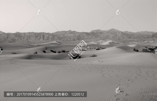加利福尼亞死亡谷沙丘；美國