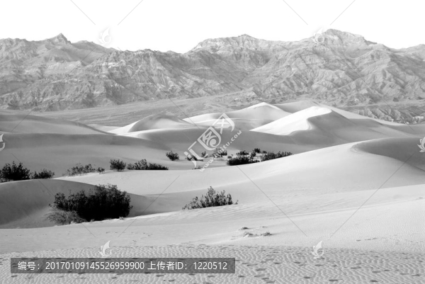 加州“死亡谷”的沙丘；在美國(guó)的首都；在美國(guó)的首都；在美國(guó)的首都；在美國(guó)的首都；