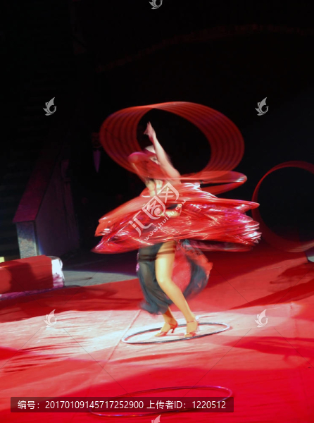 在馬戲團(tuán)