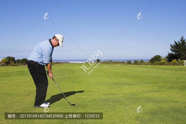 高爾夫14