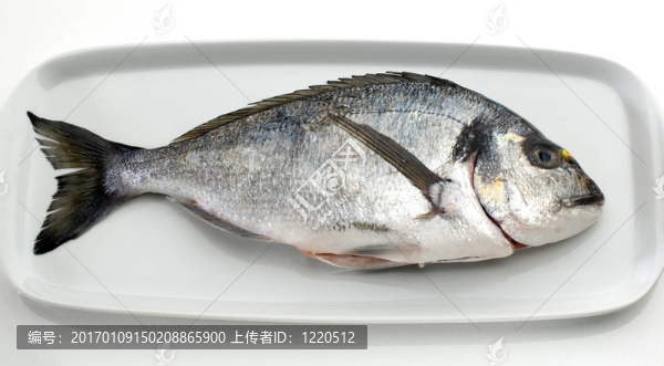 金頭