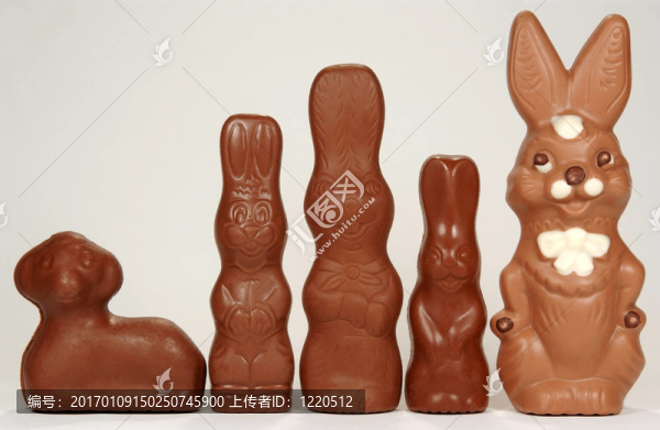 復(fù)活節(jié)的兔子