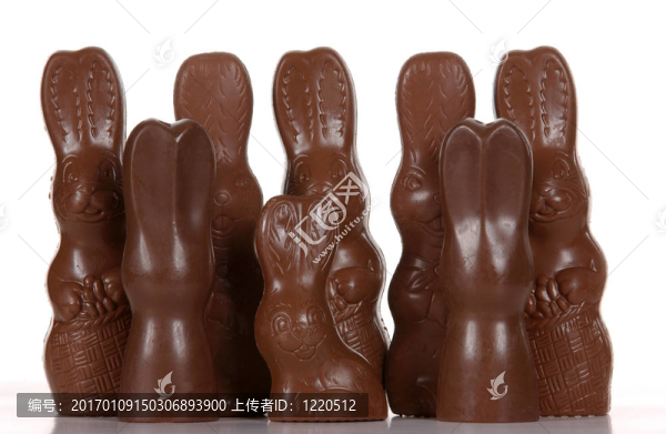 復(fù)活節(jié)的兔子-匯圖網(wǎng) www.fosd68.com 復(fù)活節(jié)的兔子