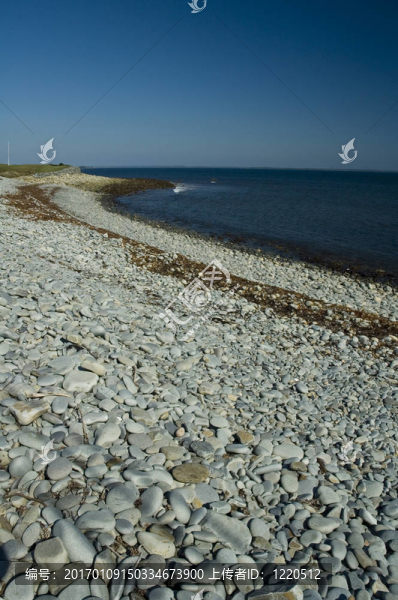 新斯科舍海岸；