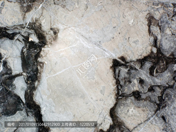 大理石-匯圖網(wǎng) www.fosd68.com 大理石