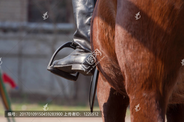 同意-匯圖網(wǎng) www.fosd68.com 同意