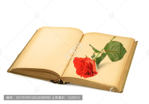 開放的老書與玫瑰