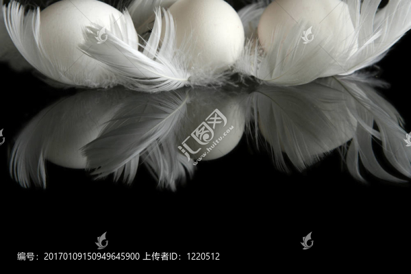 蛋黑