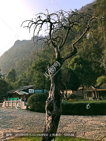 張家界,黃龍洞,著名景點,旅游