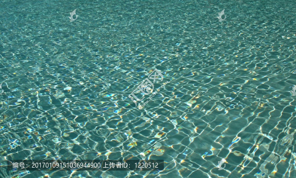 游泳比賽
