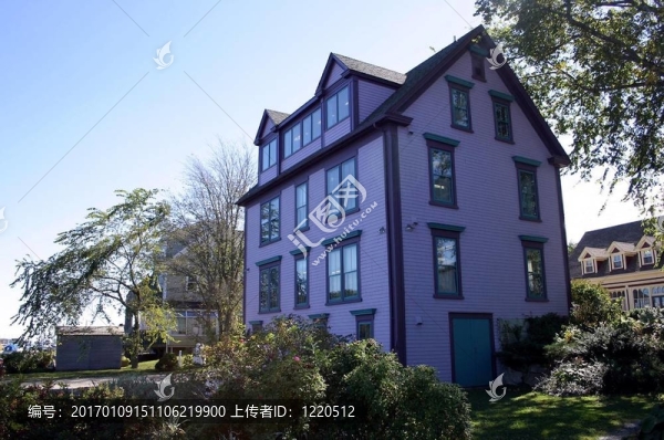 紫色的建筑