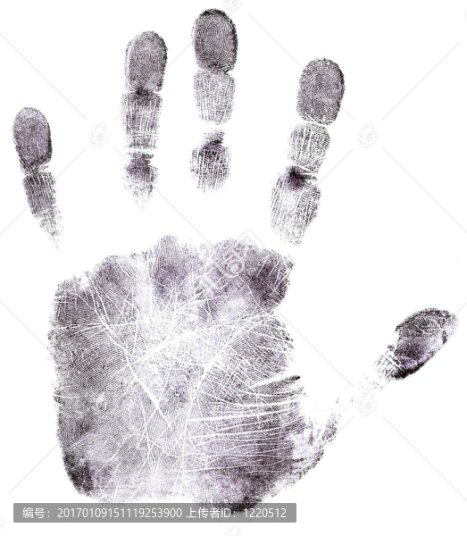 全手Black,Fingerprint