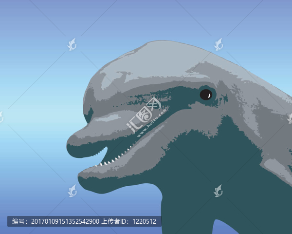 卡通海豚