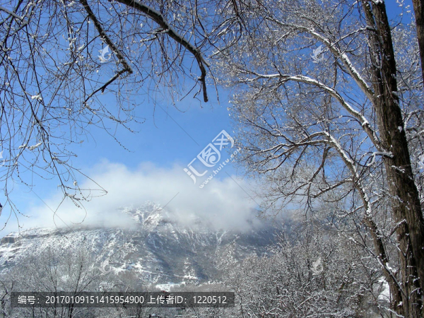 冰；雪和霧