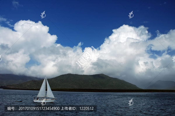 白船滿世界亂跑