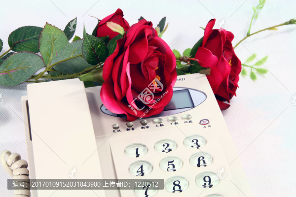 電話和羅絲-匯圖網(wǎng) www.fosd68.com 電話和羅絲