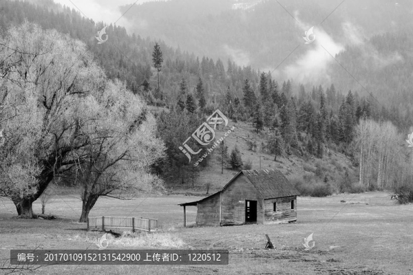 B-匯圖網(wǎng) www.fosd68.com B