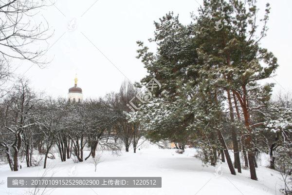 冬季景觀