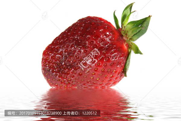 紅色的成熟的草莓