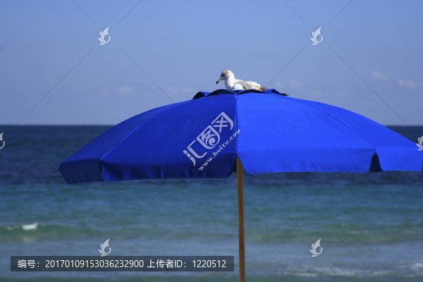 佛羅里達(dá)州-海灘