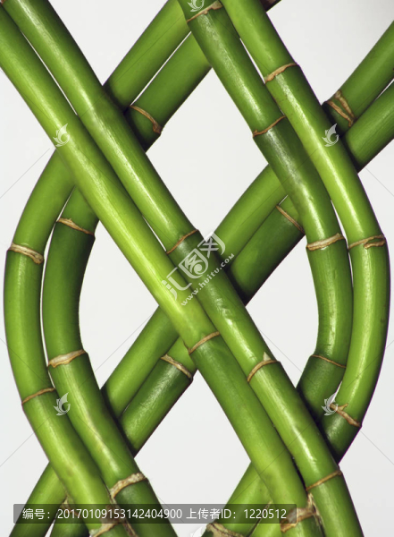 編織竹-匯圖網(wǎng) www.fosd68.com 編織竹