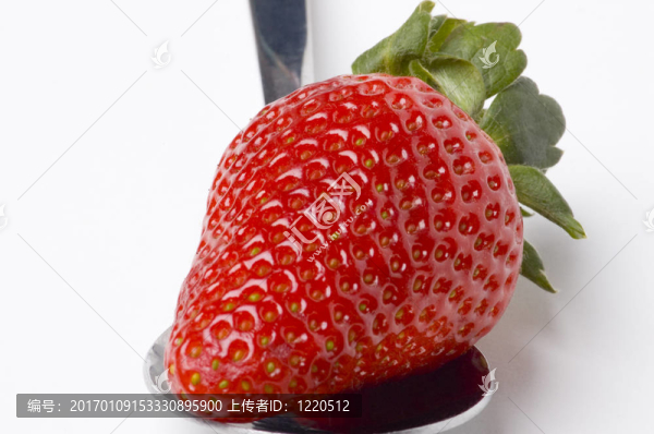 草莓