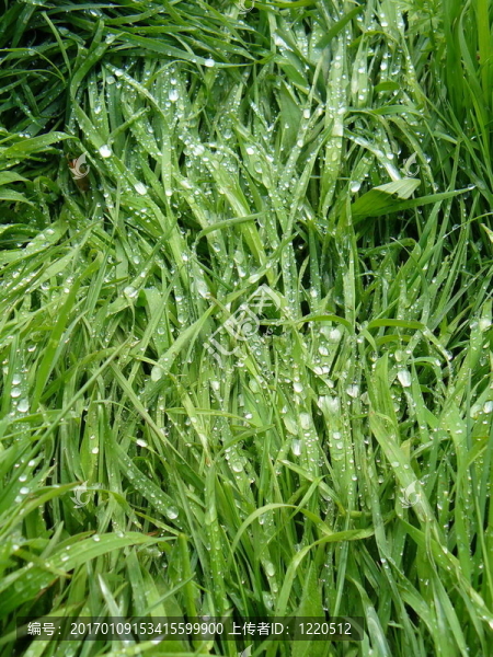水滴