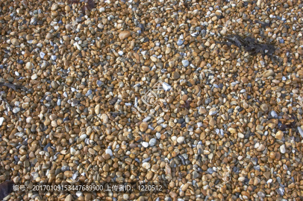 海灘上的鵝卵石