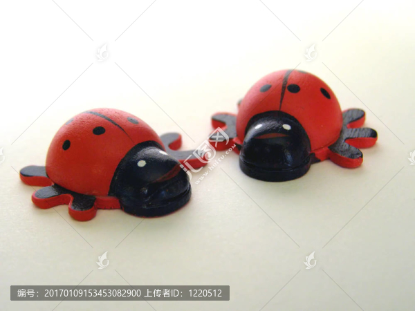 木制瓢蟲