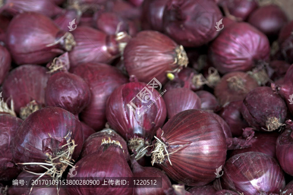 巴黎市場(chǎng)的洋蔥-匯圖網(wǎng) www.fosd68.com 巴黎市場(chǎng)的洋蔥