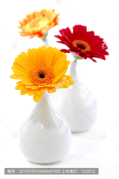 室內(nèi)設(shè)計的花瓶