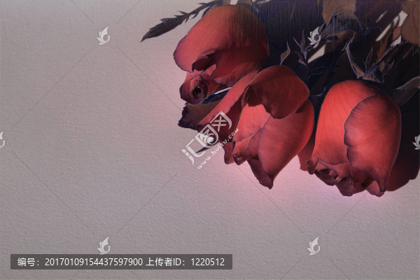紅色的玫瑰