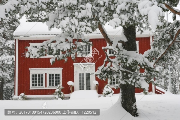 房子在雪中