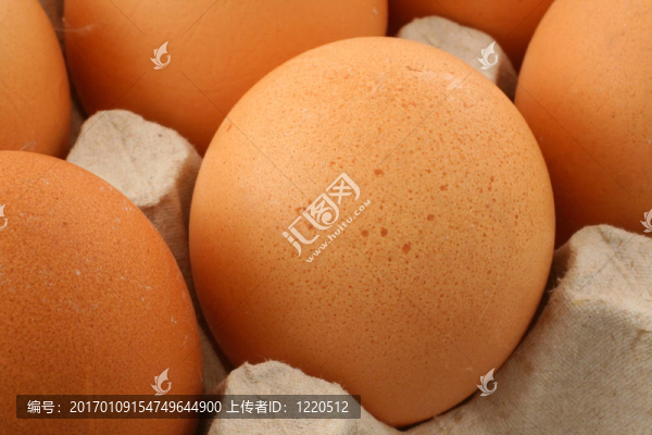 自由放養(yǎng)的雞蛋