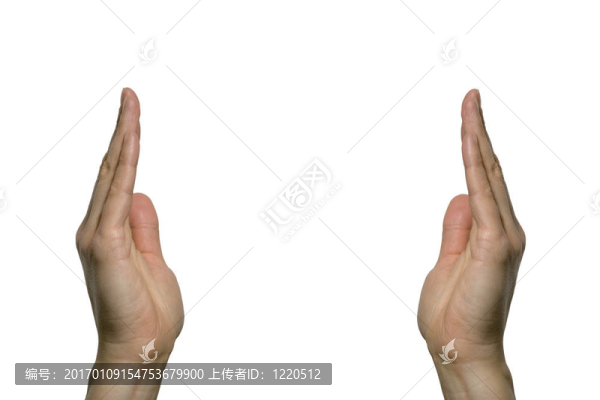 顯示手