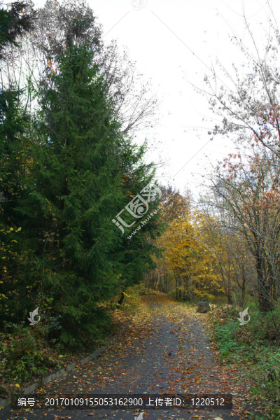 道路-秋季景觀