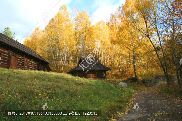 鄉(xiāng)村別墅-秋季景觀