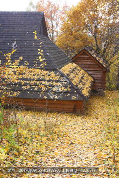在森林中的房子-秋天的風(fēng)景