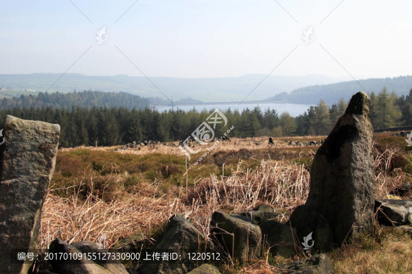 上述Moorland,langsett水庫(kù)