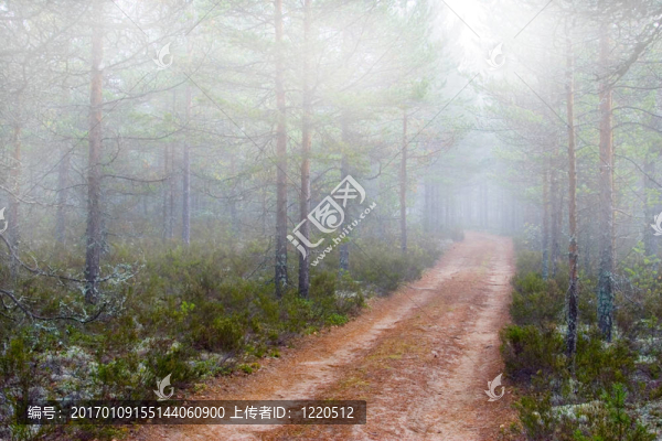 路